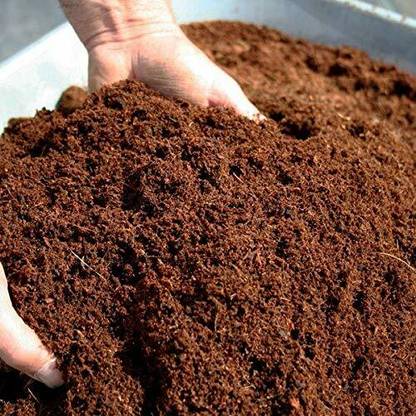 DROXTY 100% Organic Loose Ready to use Low EC Cocopeat Soil Manure-AQ-236 Husk