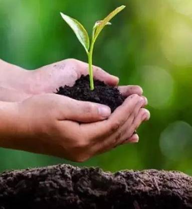 ROOT MASTER Soil Manure Manure