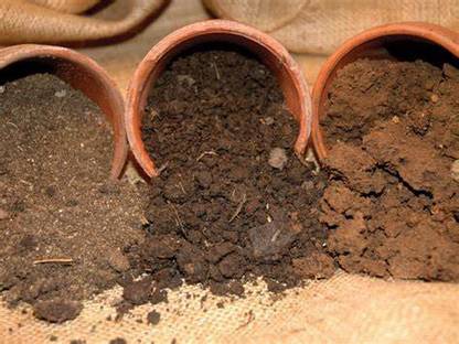 KARNI cow dung manure Manure
