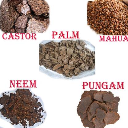 anushika agri Anushikaagri produts 5 type of punnaku Potting Mixture