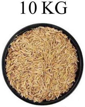 EVERGROW Rice Hulls-Paddy Husk 10kg Husk Husk