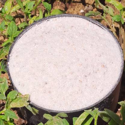 Plantsab Perlite Powder for Gardening,Mixture of Granules 60gm Potting Mixture
