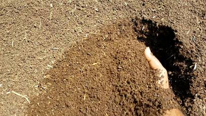 TRADITIONAL TRENDZZ AY-1221-Cow Dung Compost and Manure Fertilizer Soil Conditioner-0.75Kgs-ay-738 Potting Mixture