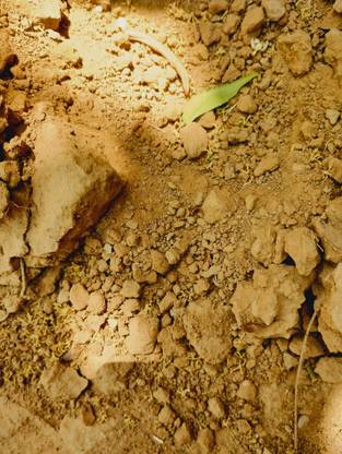 COSMO Red soil, Yellow soil,Soil Soil, Potting Mixture