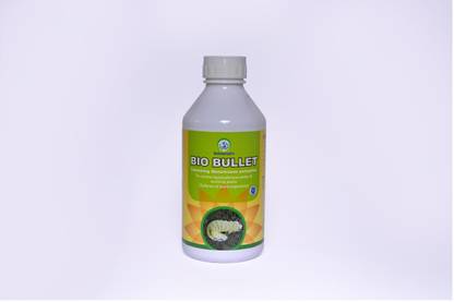 Universal Biocon Universal Biocon Bio Bullet Containing Metarhizium Anisopliae Manure