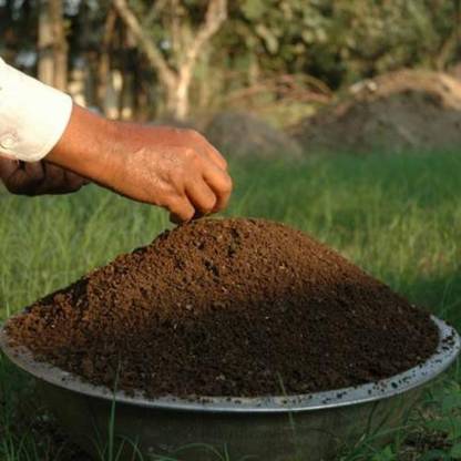 om g Horticultural Perli)te for Gardening Mixture Of Powder (5kg Manure