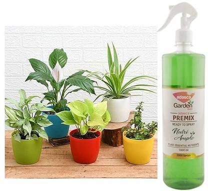 Adasca Organic Liquid Fertilizer for overall Growth of Plants Fertilizer