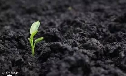 Shree Ganga Enterprise Black Soil for Gardening Soil