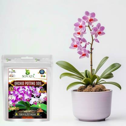 Sovata Orchid Potting Soil, Organic Mixture for Overall Growth and Heavy Flowering. Potting Mixture