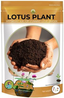 Dharshini Farm Product Lotus Plant Specialized Soil for Stunning Lotus Garden| Soil