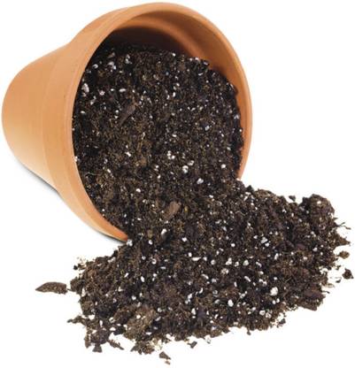 RAITA MITRA Potting Mix Soil Bio-fertilizer enriched for Plants All Purpose Ready to use Potting Mixture