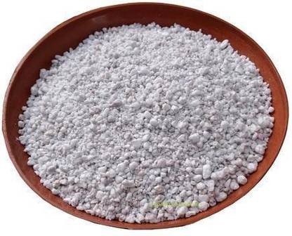 Tolshi Organic Perlite (10KG) Potting Mixture