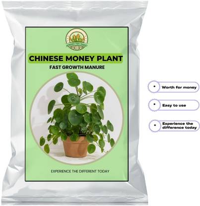 Dharshini Farm Product CHINESE MONEY PLANT FERTILIZER | Home Decor for All Rooms & Table | House Warm Fertilizer