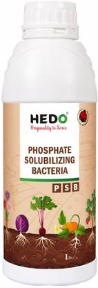 HEDO PSB (Phosphate Solubilizing Bacteria) Liquid (1L) Bio Fertilizer For All Crops Manure