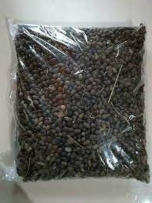 NAGORI GOATS GOAT Waste Manure