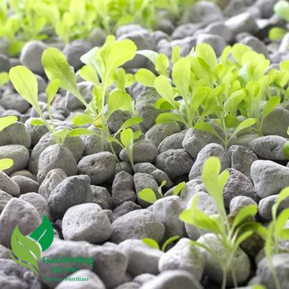 Gardening Grow Pumice Stone for Plants Essential Soil Amendment for Bonsai Fertilizer
