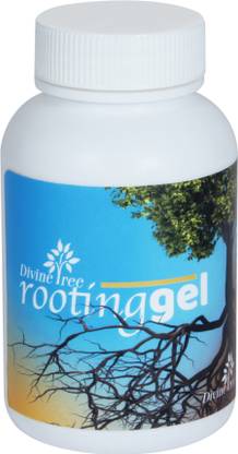 Divine Tree Rooting Gel for All Plants Cuttings | Root Stimulator for Stronger Roots Potting Mixture