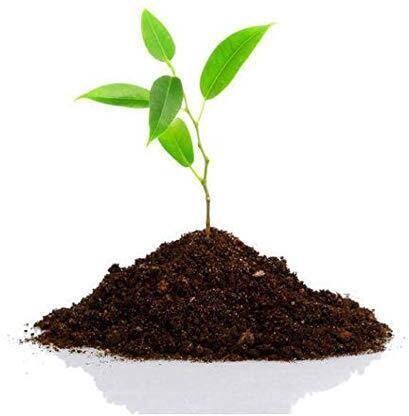 GangaVermi QMG_5 Fertilizer