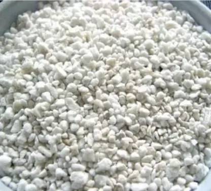Plantsab PREMIUM PERLITE FOR POTTING MIX Potting Mixture, Manure, Soil