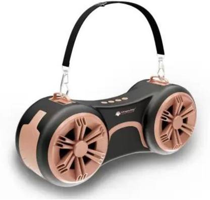 Vingajoy SP6550 Dual Pairing Portable Bluetooth Speaker with FM Radio Speaker Mod