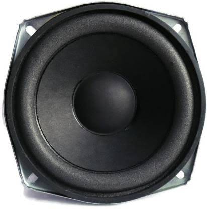 SGS 5 25 W Home Audio Speaker