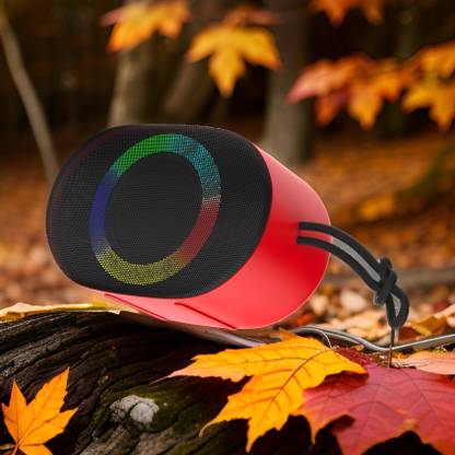 ROAR WS-25 BOSS Portable Speaker with Upto 6 Hours Battery Bluetooth Speaker 16 W Bluetooth Home Theatre