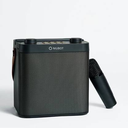 NIUBOT BEST-K1 30 W Bluetooth Speaker