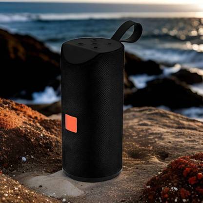 TWS Compact Wireless Speaker - Rechargeable, Wider Soundstage 9 W Bluetooth Speaker