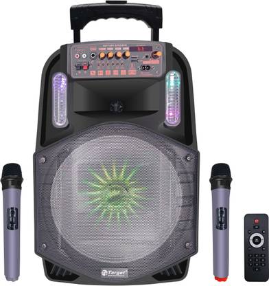 Target Wireless Bluetooth 12" Portable Trolley Speaker 300 WATTS RMS 100 W Bluetooth PA Speaker