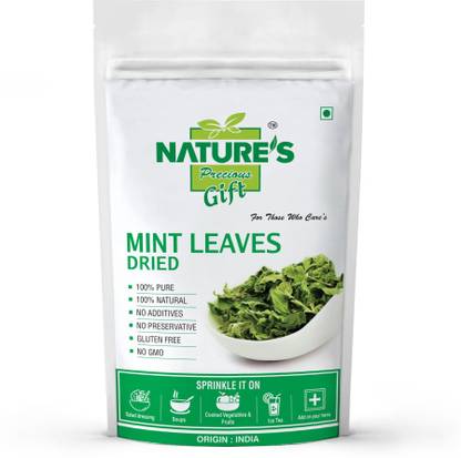 Nature's Precious Gift Mint Leaves Dried - 2 kg - Jumbo Super Saver Wholesale Pack