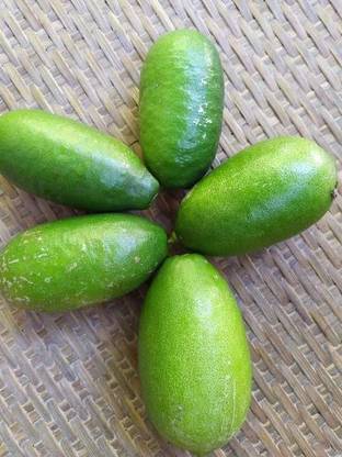 joloking LEMON ASSAM KAJI NEMU 1KG