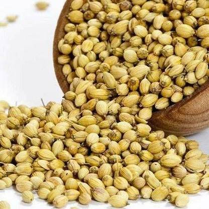 VibeX ® XLL-271 VEGETABLE SEEDS CORIANDER DHANIYA 100% ORGANIC F1 HYBRID-25 x Seeds Seed