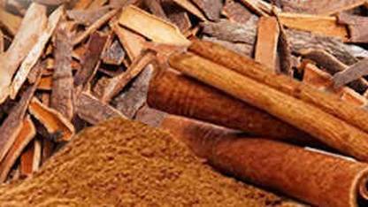 Perzadhi 100GM Cinnamon Sticks Dalchini Patta