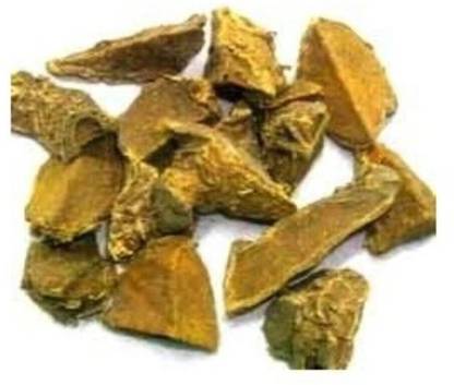 TRH Amba Haldi - Curcuma amada - Kasturi Haldi - Jangli Haldi - Wild Turmeric - 03AH