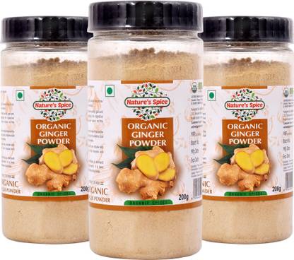 Nature's Spice Organic Ginger Powder - 600 Grams