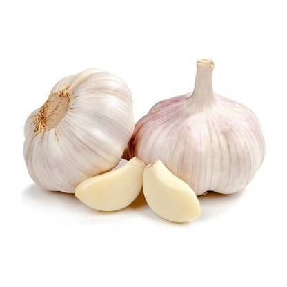 ramraj Jumbo Fresh and Big Size Garlic, Lehsun With Grade- A Quality