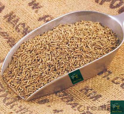 The Atharva-veda 1.5 kg Sabut Jeera, Cumin Seed | Pure Whole Cumin, Jira seed | Jeerige, Jeerakam