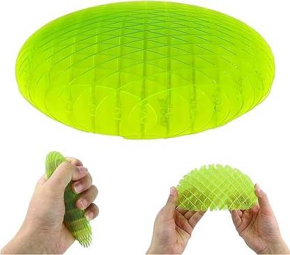 Vibgyor Products Fidget Worm Toy Sensory Toys for Kids Funny Pocket Fidget Toy