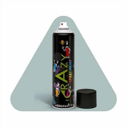 AeroFast Fast-Drying Aerosol Spray Paint for Wood Non-Fading, Smooth & Shiny Finish L A Grey IS 697 Spray Paint 400 ml
