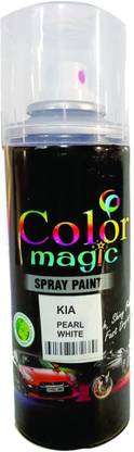 COLORMAGIC CALYPSO RED SPRAY PAINT COMPATIBLE FOR TATA PUNCH Black Spray Paint 200 ml