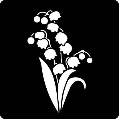 Kachi Pencil Multi Flower with Leaf Stencils for Art, Craft and Painting Big Size 12x12 inch Reusable Stencil for Painting, Fabric, Glass, Wall Painting, and Craft Painting, 1800, Art & Craft Painting Stencil