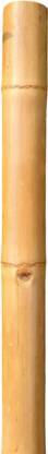 Das Departmental Store 5.5 Ft | Exercise | Walking | Fire Fighting | Solid Bamboo Gymnastic Stick - 66 inch