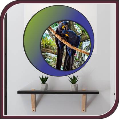 Sahaj Décor 16 inch Two parrot blue color wall poster size (16x16 inch ) Self Adhesive Sticker