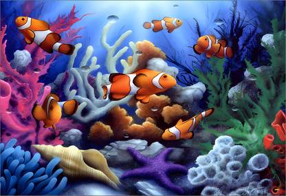 Nemo Fish Self Adhesive Vinyl Poster (Pack of 1) Vinyl