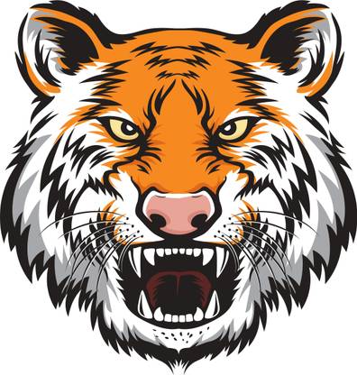 Design Decor 60.96 cm Tiger Scary Face Wall Sticker & car Sticker Size 30x30 Self Adhesive Sticker