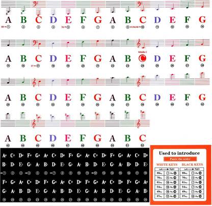 Bestor 2.54 cm Piano Keyboard Stickers for Beginners 88/76/61/54/49/37 Keys - Big Letters Double-sided Sticker