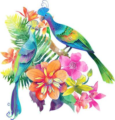 ZEN TREK 45 cm Beautiful Cuckoo Self Adhesive Sticker