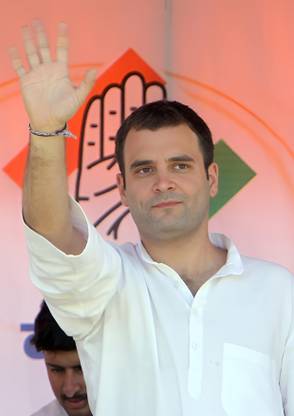 Dumdic 30 cm Honorable Rahul Gandhi Ji A4 Strong Self Adhesive Sticker