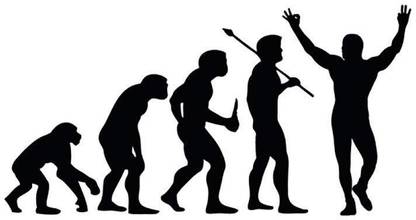 Xskin 29 cm Evolution of Wrestling Wall Decals Easy to Apply Self Adhesive Sticker