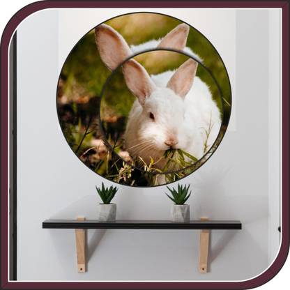 Vijaya enterprises 16 inch White rabbit on green grass sticker poster size (16x16 inch ) Self Adhesive Sticker